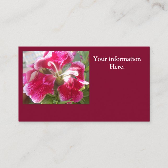 Lodovica Business Card (Front)