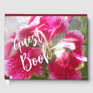 Lodovica Guest Book
