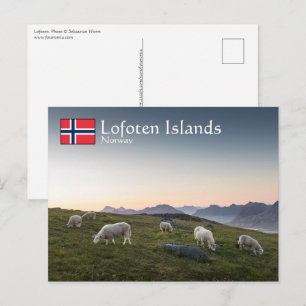 Lofoten Islands Norway Postcard