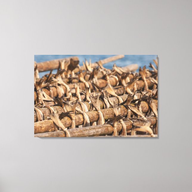Lofoten Islands Stockfish Canvas Print (Front)