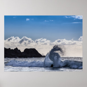Lofoten Seascape Poster