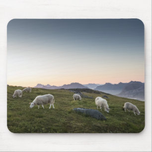 Lofoten Sheep Landscape Photo Mouse Mat
