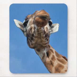 Lofty Mousemat
