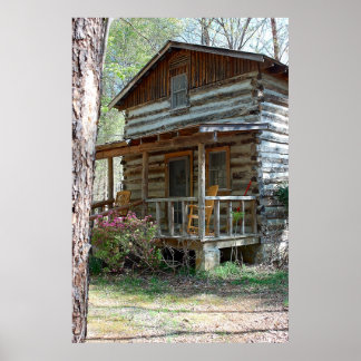 Log Cabin Poster