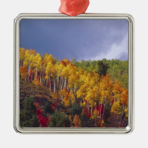 Logan Canyon in Utah in autumn with passing Metal Tree Decoration