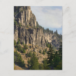 Logan Canyon Right Hand Fork Postcard