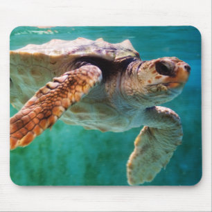 Loggerhead #2 Mousepad
