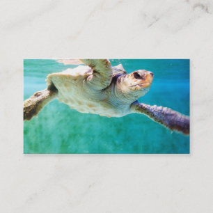 Loggerhead #3 Mini Print Business Card