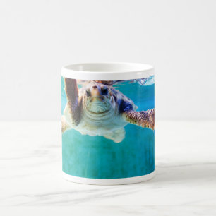 Loggerhead #4 Mug