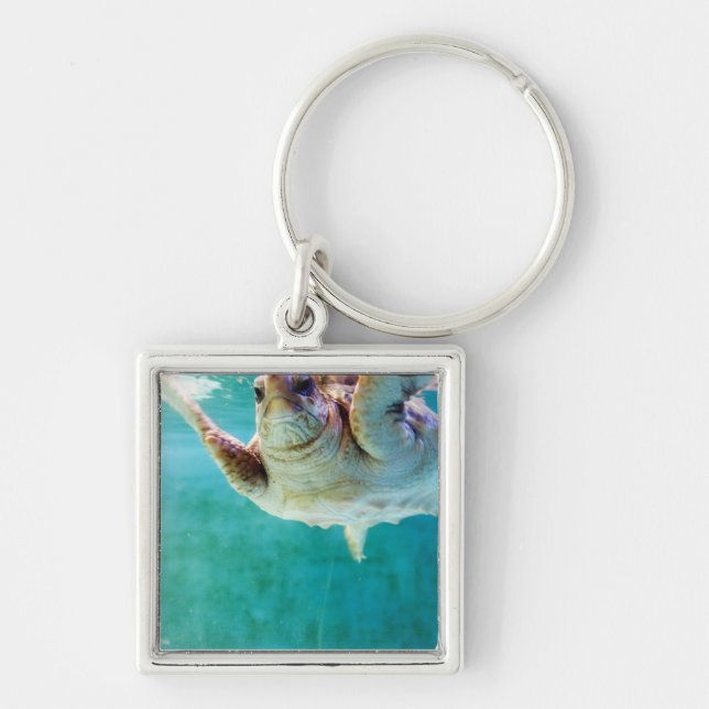 Loggerhead #5 Keychain (Front)