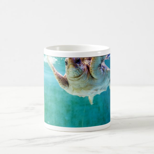 Loggerhead #5 Mug (Center)