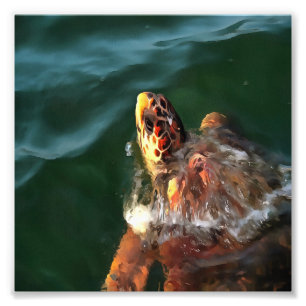 Loggerhead Sea Turtle Artistic Portrait Photo Print