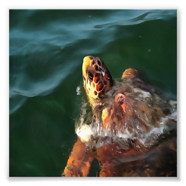 Loggerhead Sea Turtle Artistic Portrait Photo Print (Front)