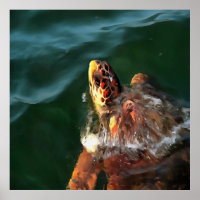 Loggerhead Sea Turtle Artistic Portrait