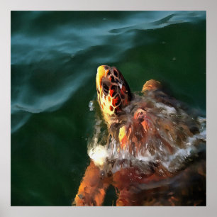Loggerhead Sea Turtle Artistic Portrait Poster