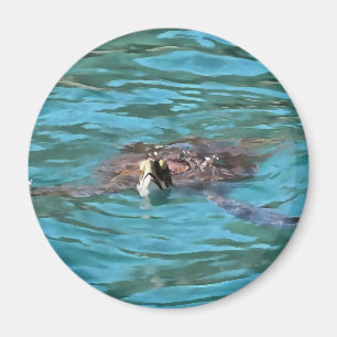 Loggerhead Sea Turtle Magnet