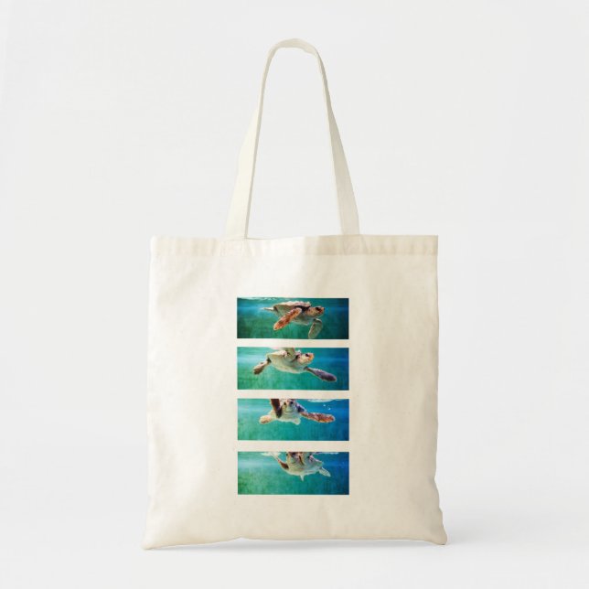Loggerhead Sea Turtle Study Bag (Front)