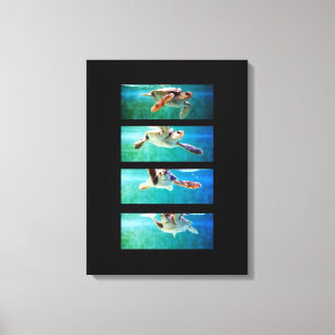 Loggerhead Sea Turtle Study Wrapped Canvas