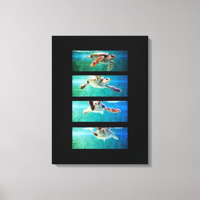 Loggerhead Sea Turtle Study Wrapped Canvas (Front)