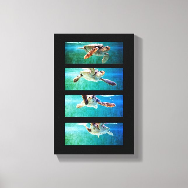 Loggerhead Sea Turtle Study Wrapped Canvas (Front)
