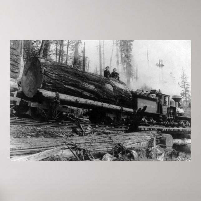 Logging Train carrying men and Poster (Front)