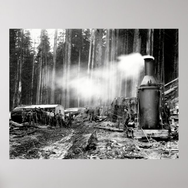 LOGGING with STEAM DONKEY c. 1879 Poster (Front)