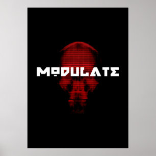 Logo/Skull poster