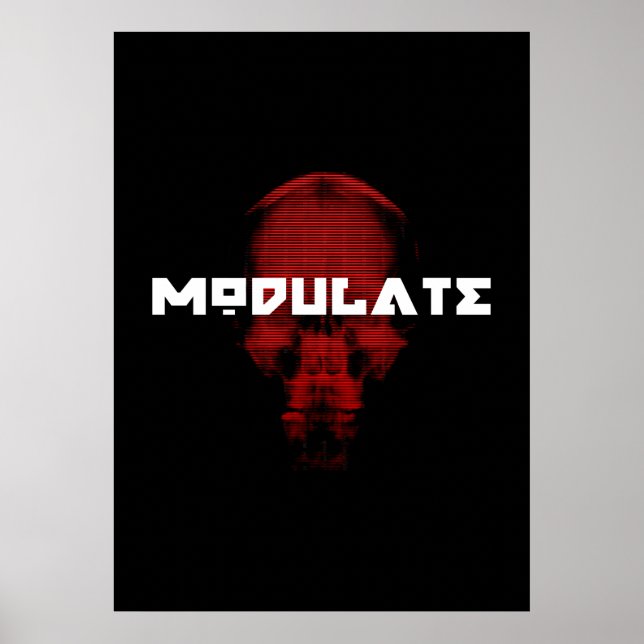 Logo/Skull poster (Front)