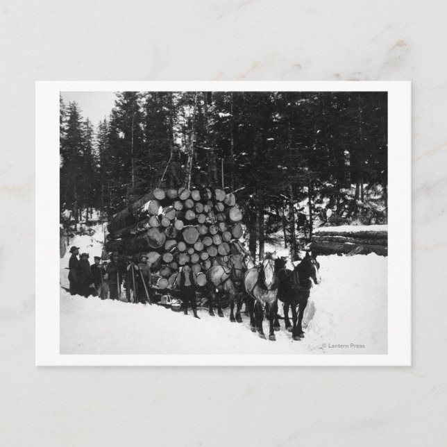 Logs being hauled on a Sleigh by a Team of Horse Postcard (Front)