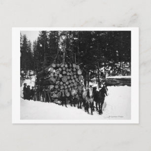 Logs being hauled on a Sleigh by a Team of Horse Postcard