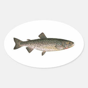 Lohanton Cutthroat Trout Oval Sticker
