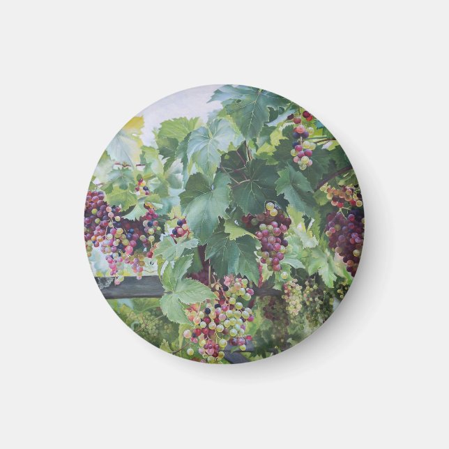 Loire Valley Vineyard – French Grape Painting Magnet (Front)