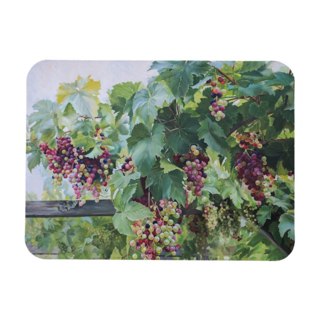 Loire Valley Vineyard – French Grape Painting Magnet (Horizontal)