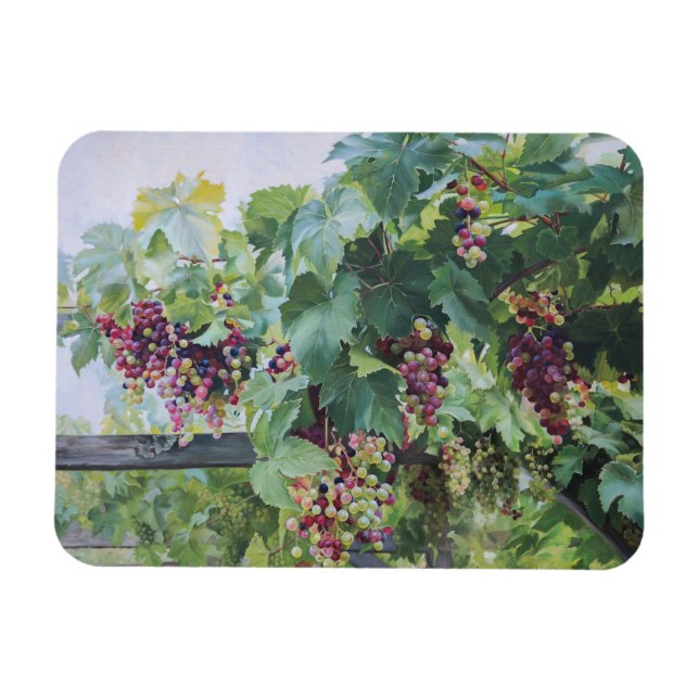 Loire Valley Vineyard – French Grape Painting Magnet (Horizontal)