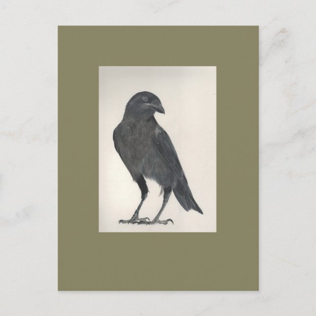 L'oiseau fier postcard (Front)