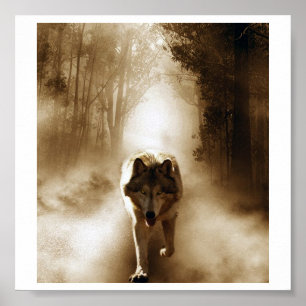 Loki wolfdog poster
