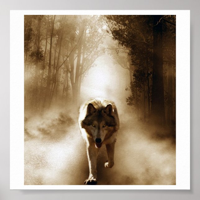 Loki wolfdog poster (Front)
