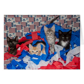 Loki's Litter in Red, White, & Blue