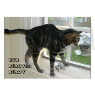 LOL Cat card
