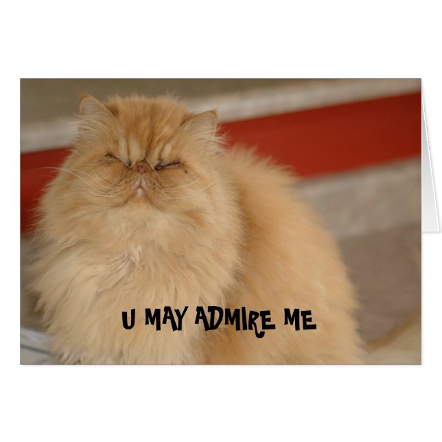 LOL Cat card (Front Horizontal)