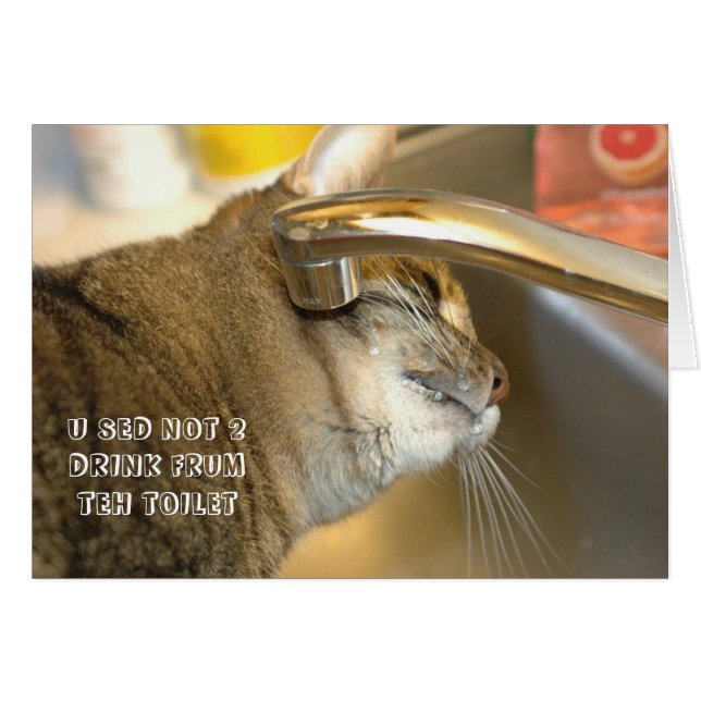 LOL Cat card (Front Horizontal)