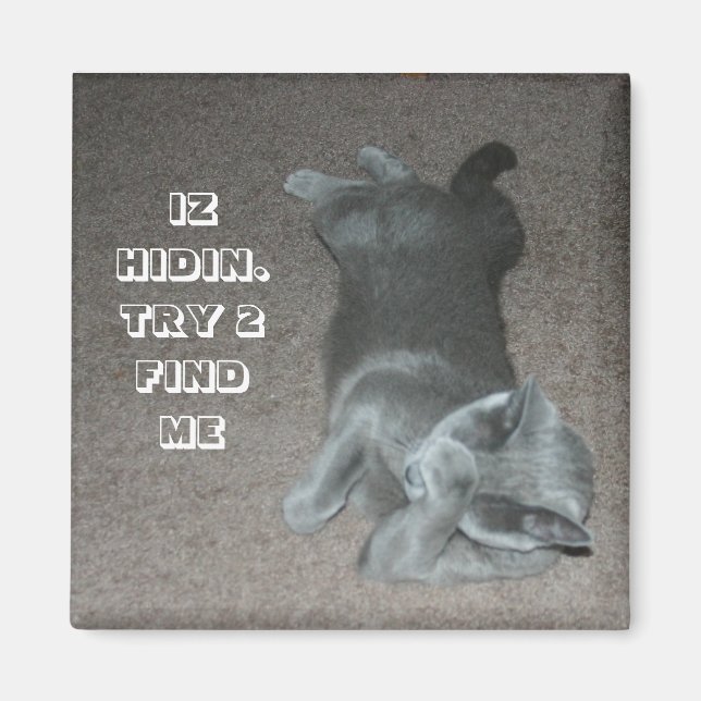 lol cat magnet (Front)