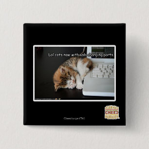 Lol cats with USB 15 Cm Square Badge