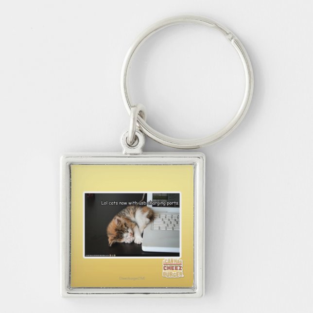 Lol cats with USB Key Ring (Front)