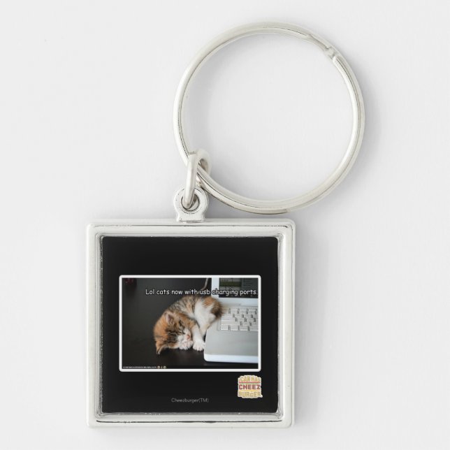 Lol cats with USB Key Ring (Front)