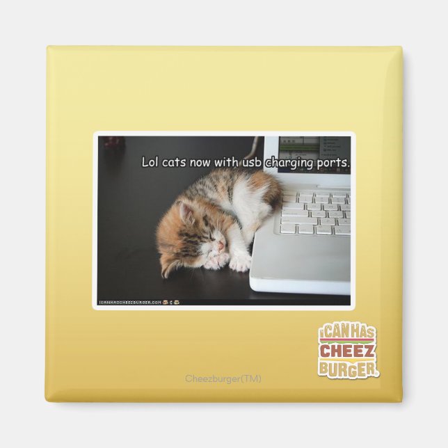 Lol cats with USB Magnet (Front)