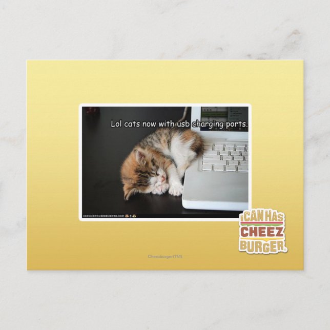 Lol cats with USB Postcard (Front)