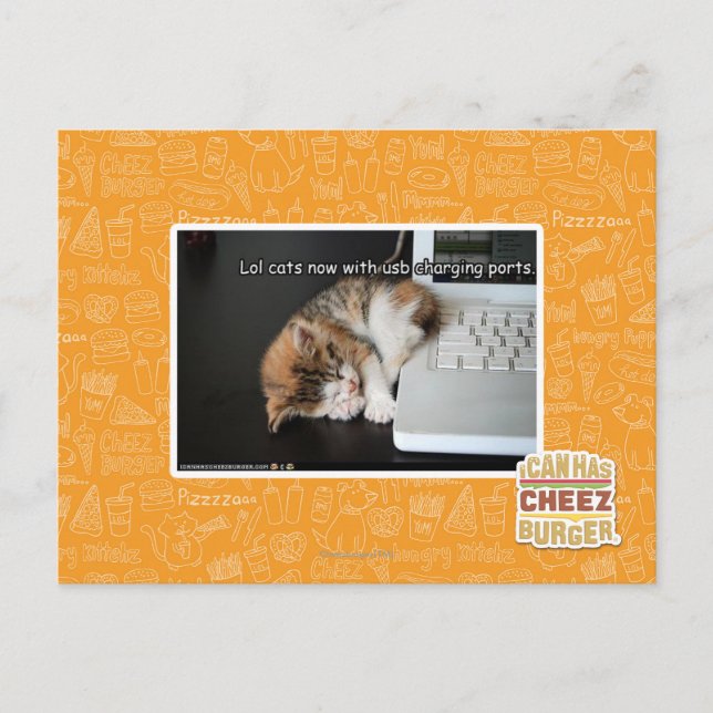 Lol cats with USB Postcard (Front)