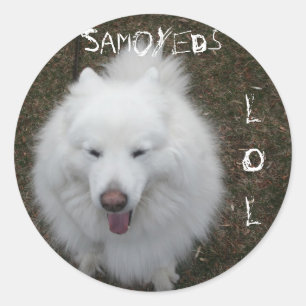 LOL CLASSIC ROUND STICKER