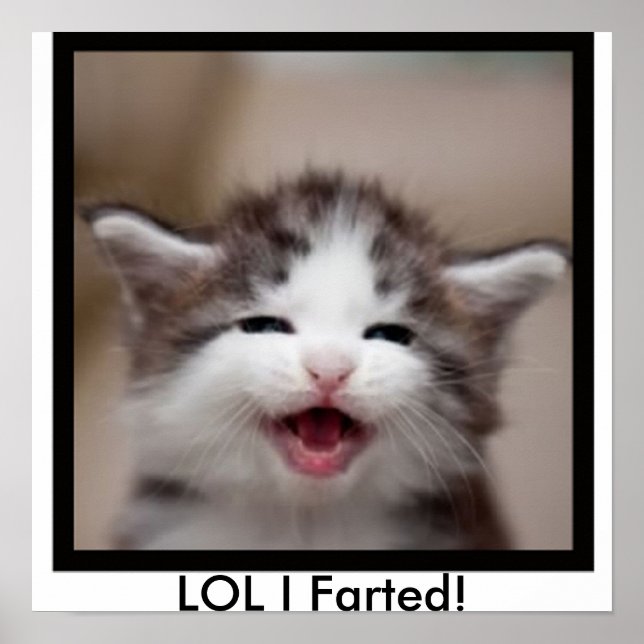 LOL I Farted! Poster (Front)